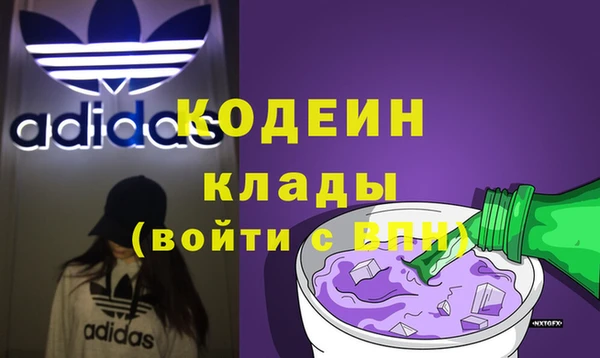 спиды Вяземский