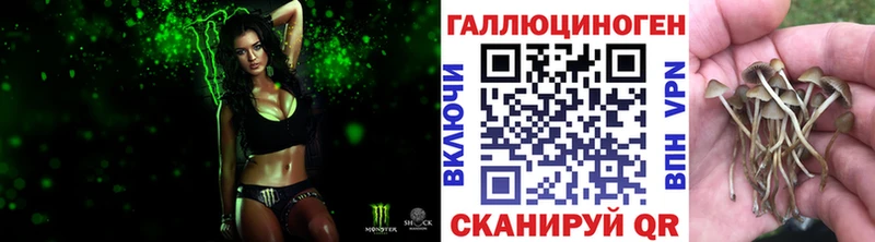 цены Кукмор Псилоцибиновые грибы Magic Shrooms