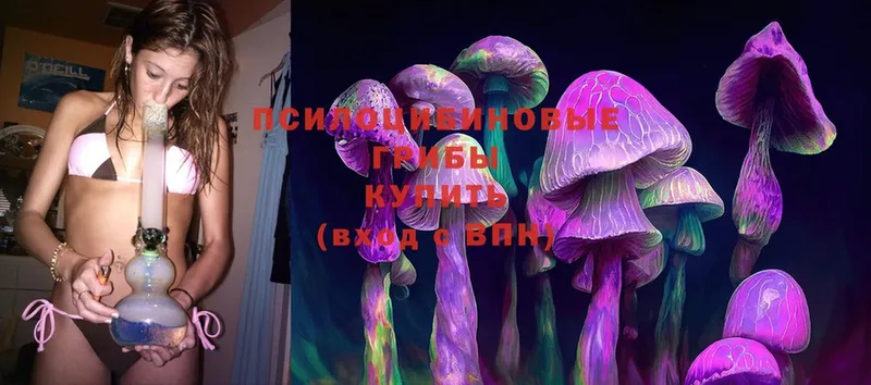 Галлюциногенные грибы Cubensis  Кукмор 